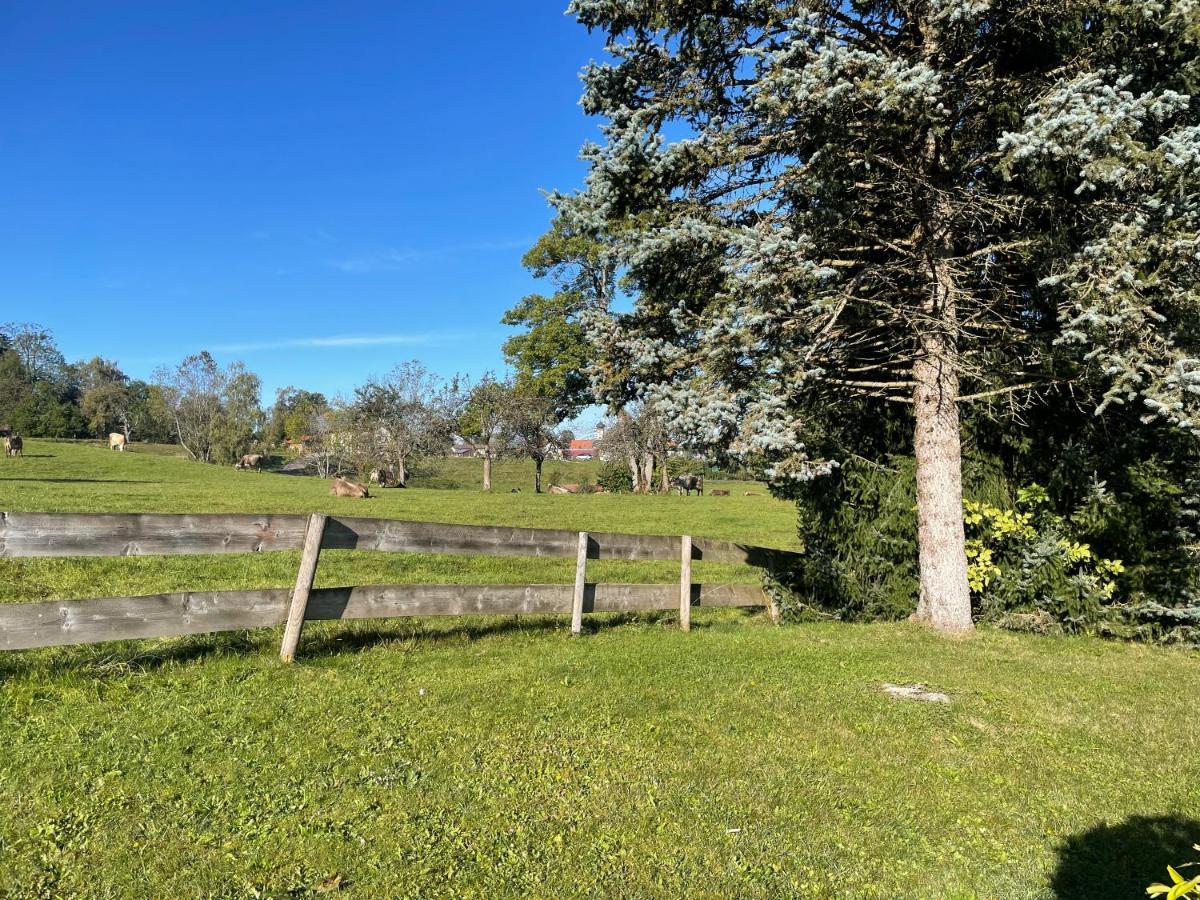 אוברוייטה Allgaeu Chalet Mit Berg-Panorama מראה חיצוני תמונה